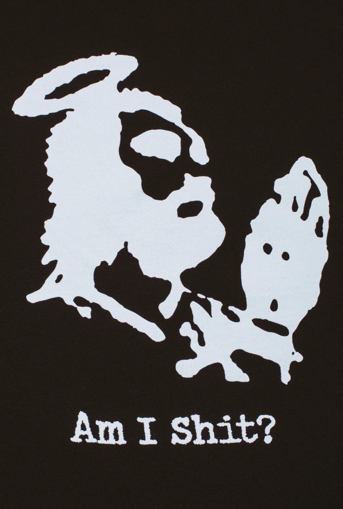 【Fucking Awesome- ファッキングオーサム】AM I SHIT? HOODIE / BLACK(フーディー/ブラック)