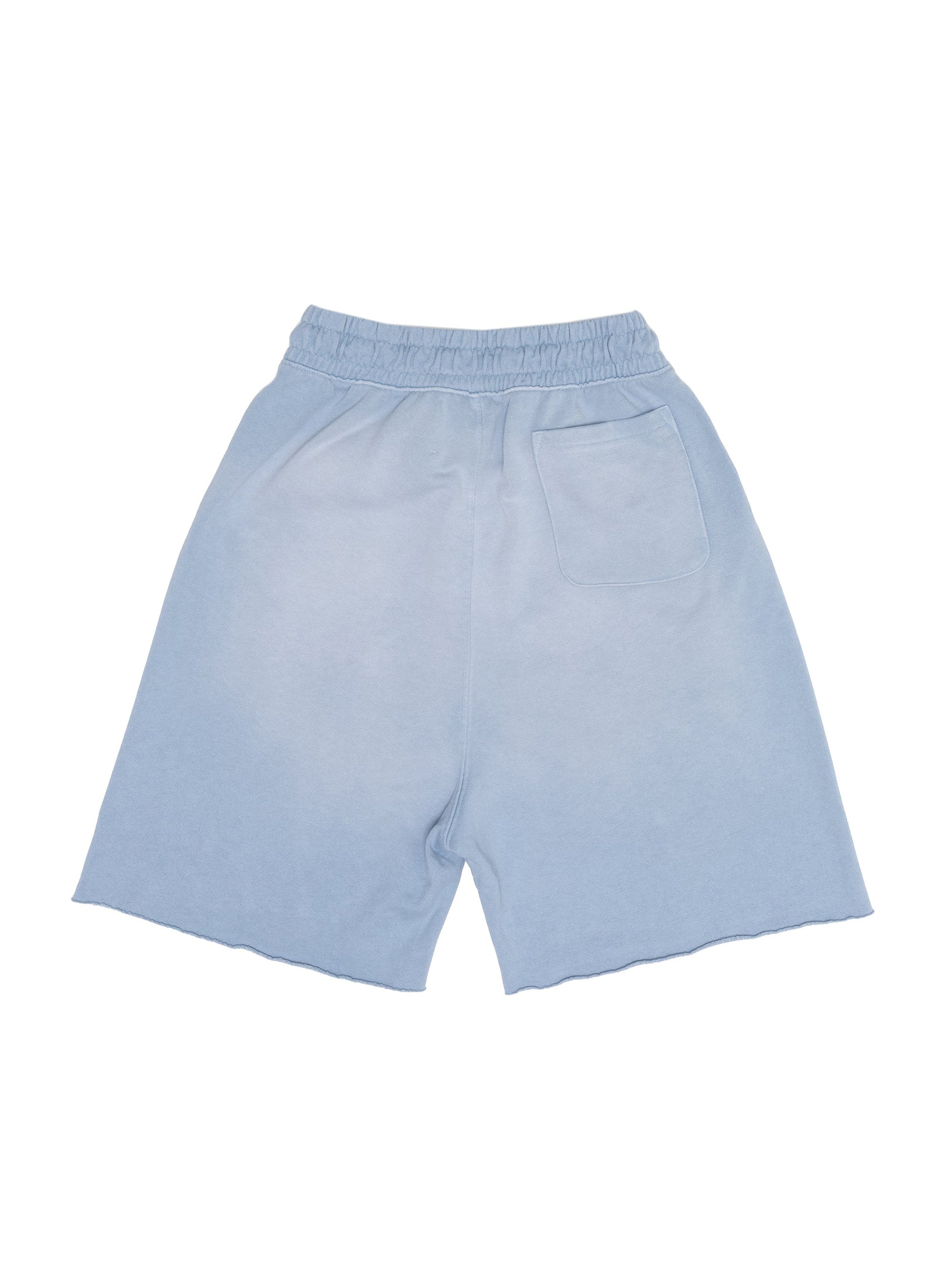 PALY HOLLYWOOD – union-onlinestore
