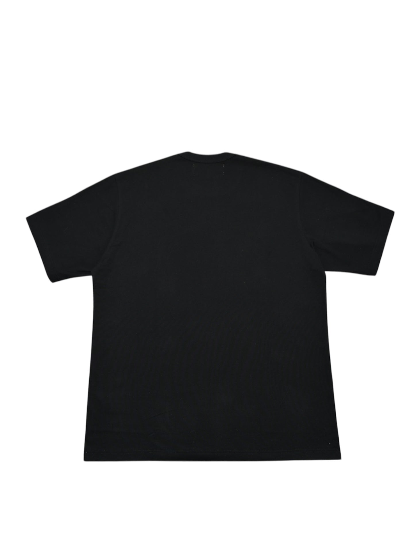 【TSTS -ティーエスティーエス】ORGANIC COTTON HALFTONE T-SHIRT / BLACK (Tシャツ/ブラック)