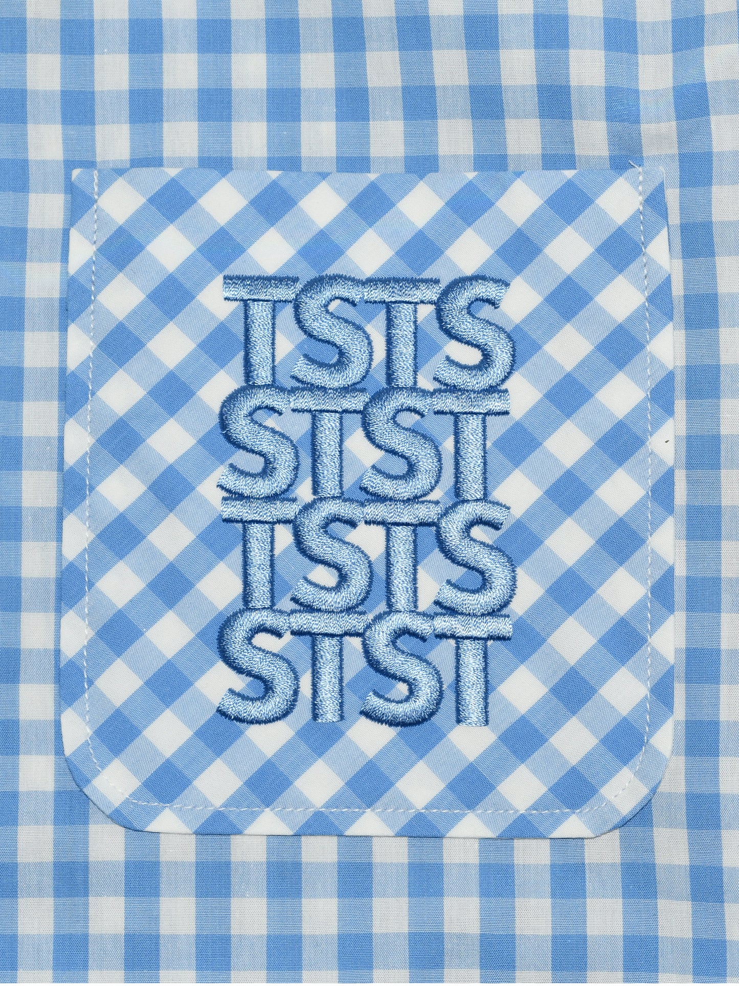 【TSTS -ティーエスティーエス】TSTS GINGHAM SHIRT / BLUE CHECK (Tシャツ/ブルーチェック)