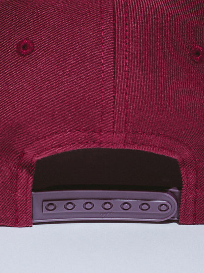 【Fucking Awesome- ファッキングオーサム】PBS LOGO SNAPBACK /  Maroon（帽子/マルーン）