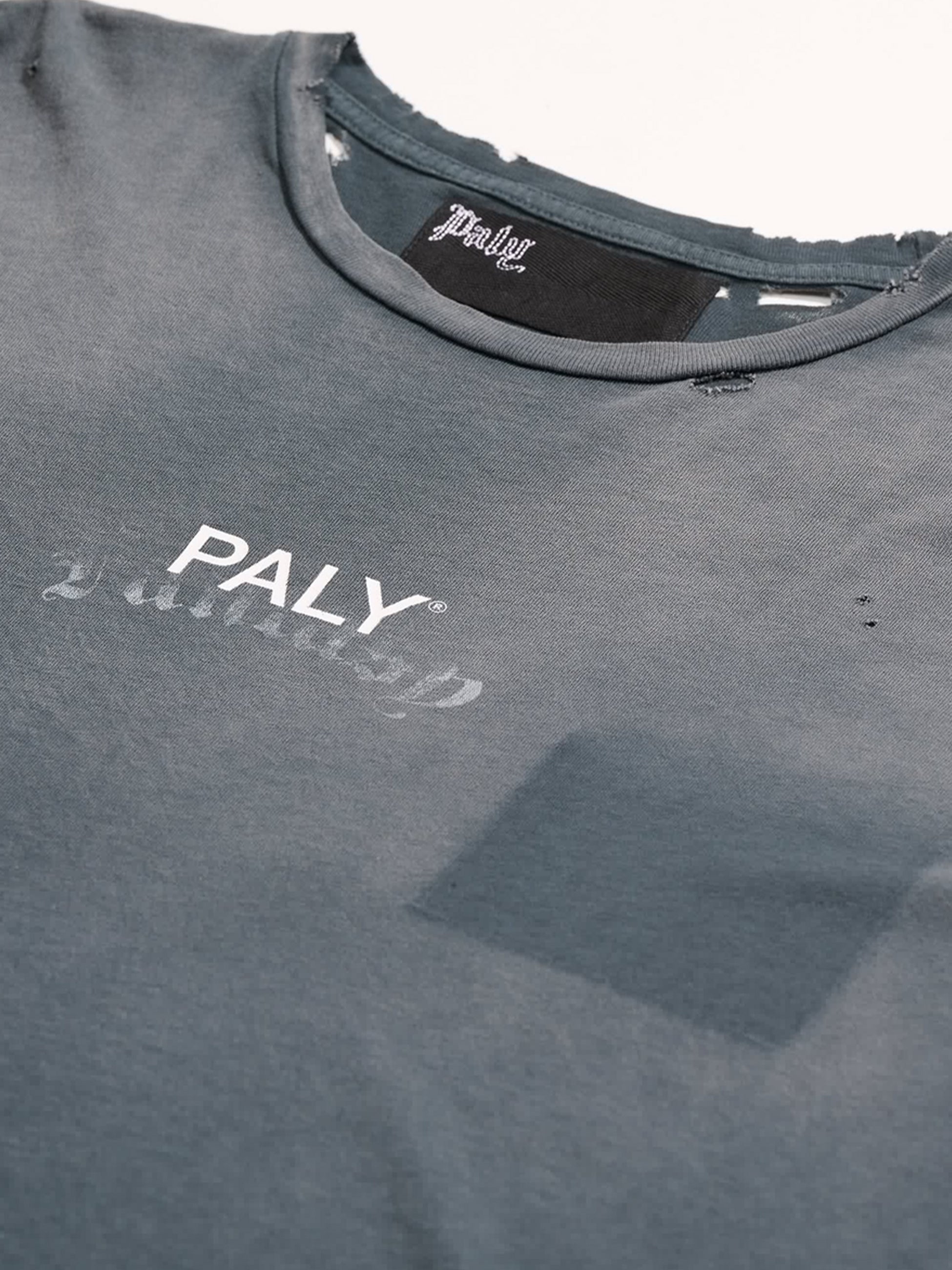 Paly Hollywood パリーハリウッドTシャツ　 M PALY HOLLYWOOD - パリーハリウッド】 CORE LOGO TEE / VINTAGE BLACK