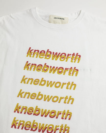 【ANACHRONORM - アナクロノーム】AN367 GRADATION PRINTED S/S T-S / WHITE (Tシャツ/ホワイト)