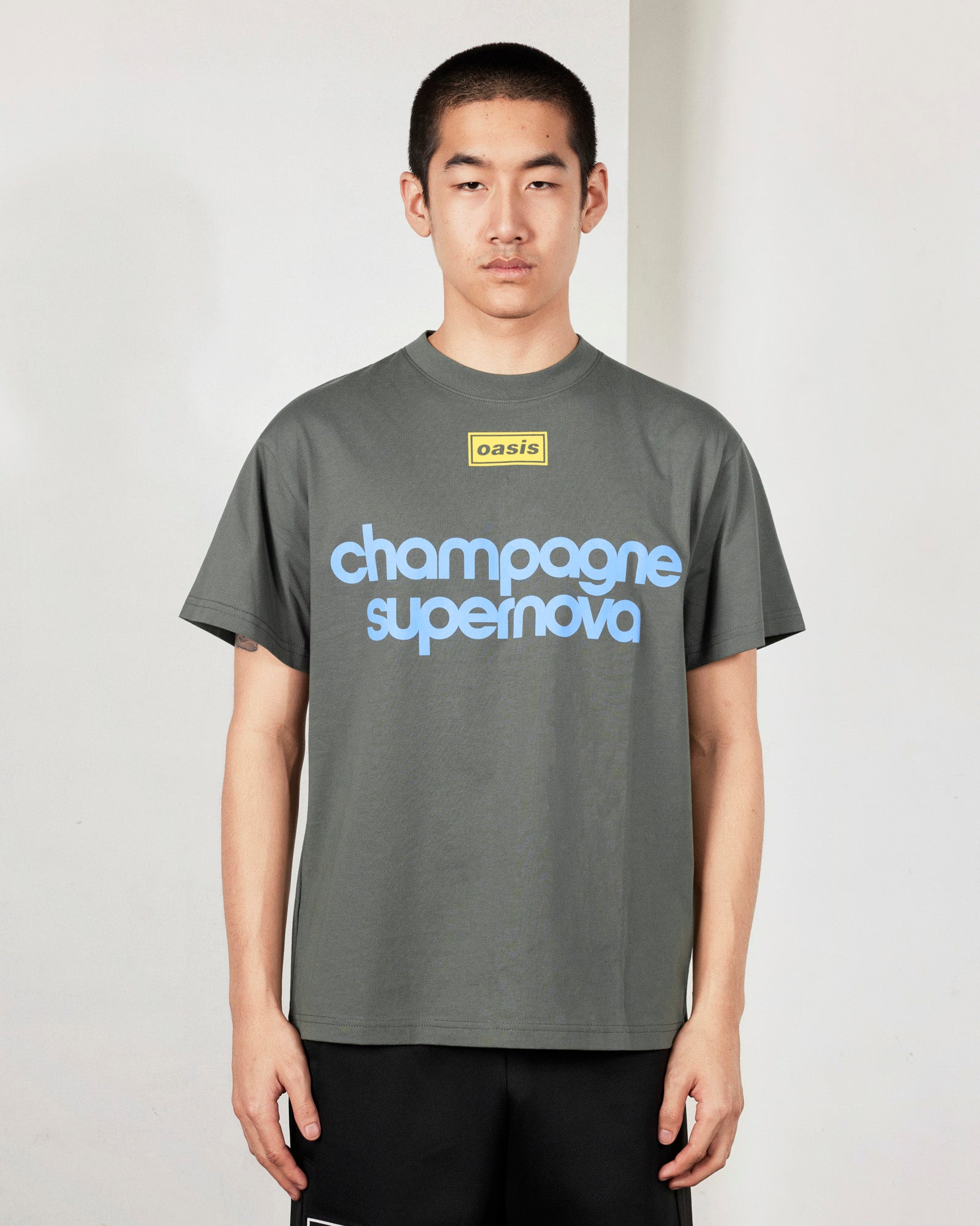 PLEASURES - プレジャーズ】NORDIQUE T-SHIRT / FADED BLACK (Tシャツ