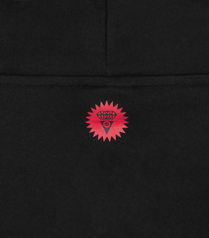 【ICE CREAM - アイスクリーム】CRYSTAL RUNNING DOG POPOVER HOOD / BLACK (フーディ/ブラック)