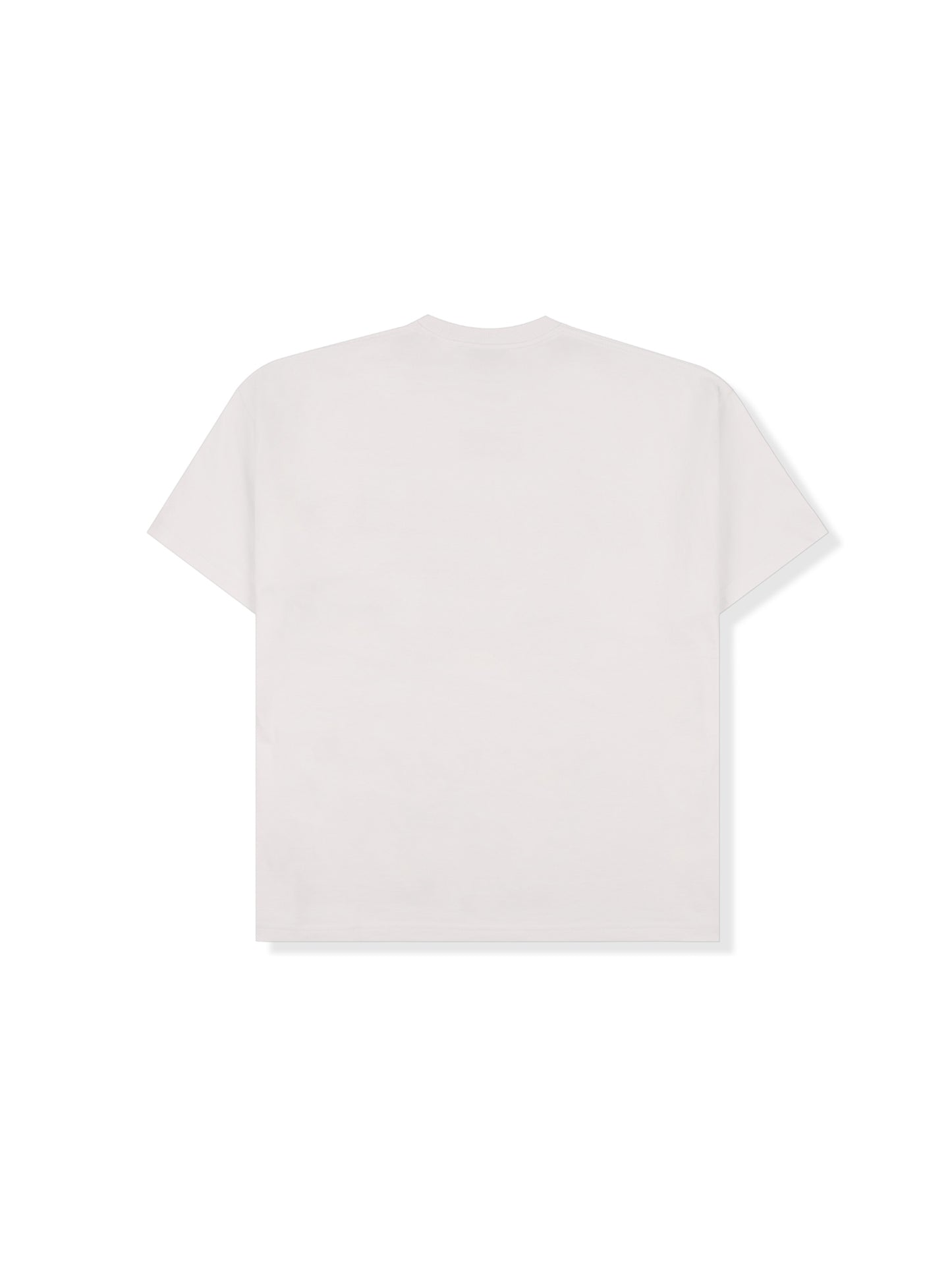 【PLEASURES - プレジャーズ】NORDIQUE T-SHIRT / VTG WHITE (Tシャツ/ヴィンテージホワイト)