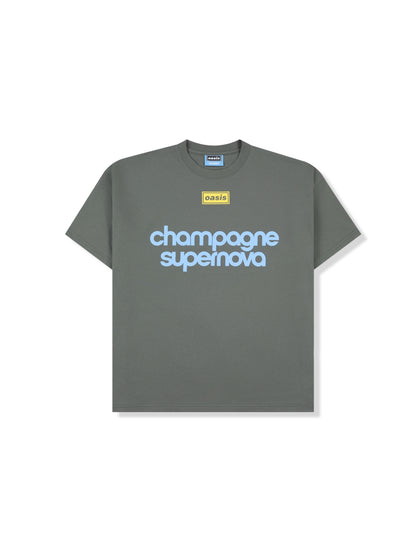 【PLEASURES - プレジャーズ】NORDIQUE T-SHIRT / FADED BLACK (Tシャツ/フェードブラック)