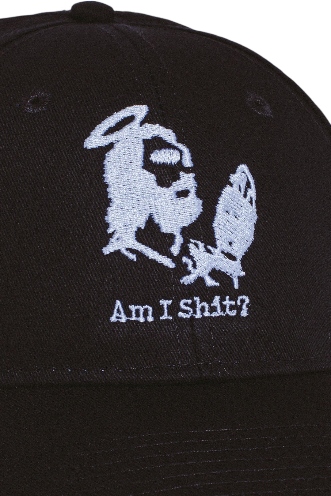 【Fucking Awesome- ファッキングオーサム】AM I SHIT? 6-PANEL SNAPBACK / BLACK（キャップ/ブラック)